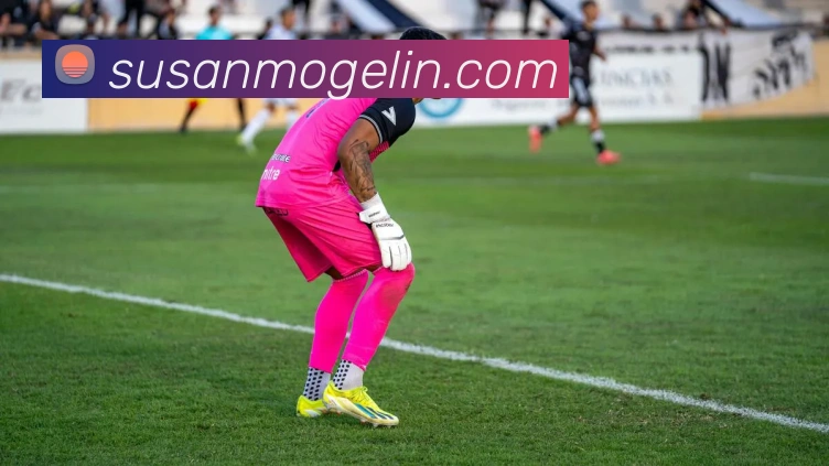 mksports体育APP 高清赛事图